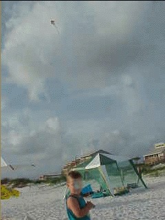 Sammy Flying a Kite